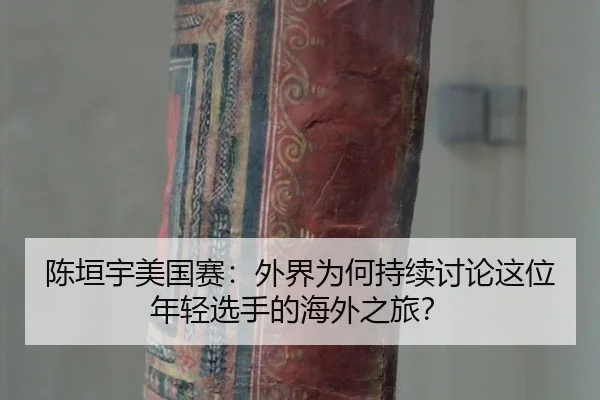 chen-yuan-yu-mei-guo-sai-wai-jie-wei-he-chi-xu-tao-lun-zhe-wei-nian-qing-xuan-shou-de-hai-wai-zhi-lv-2-333.jpg